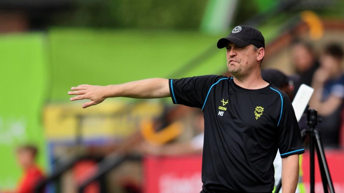 Lincoln manager Michael Skubala 